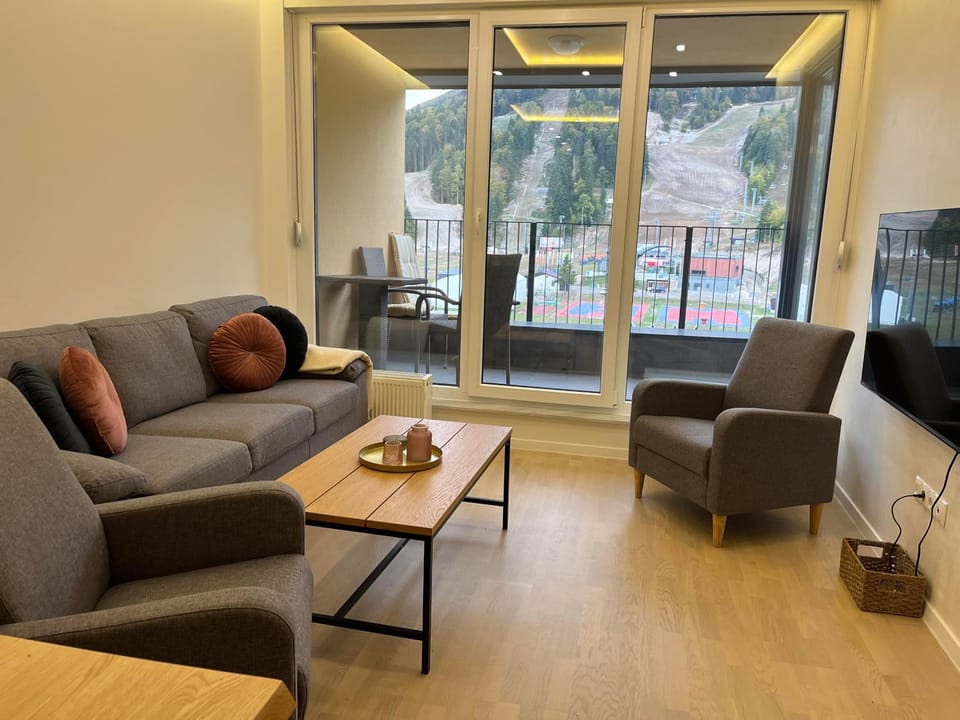 TV and multimedia, Living room