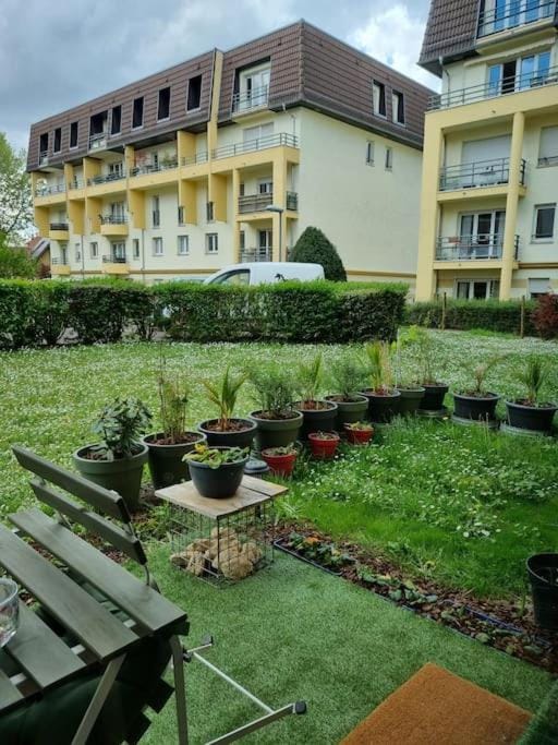 Garden view