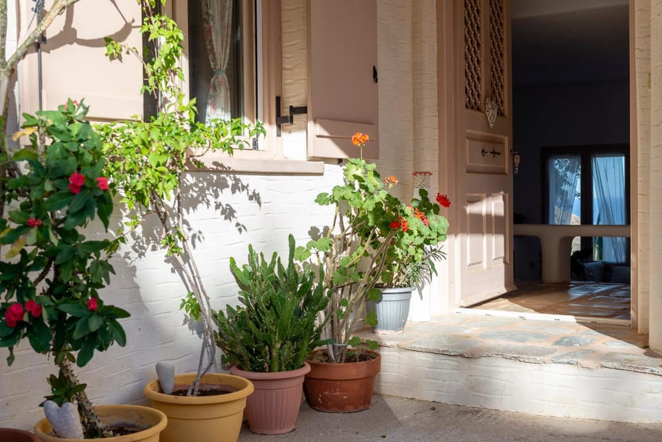 Patio, Garden view