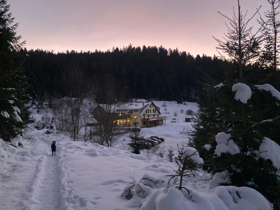 Natural landscape, Winter, Mountain view