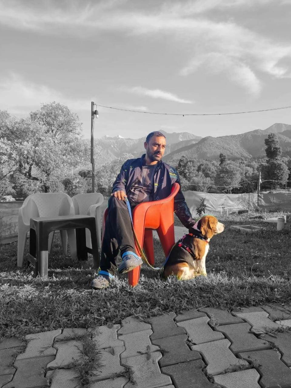 Tree Bones Camp Resort in Himachal Pradesh