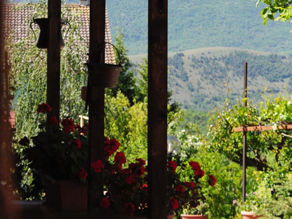 Country House Al Faraone Bed and Breakfast in Abruzzo