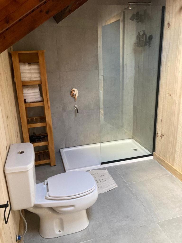 Shower, Bathroom, towels