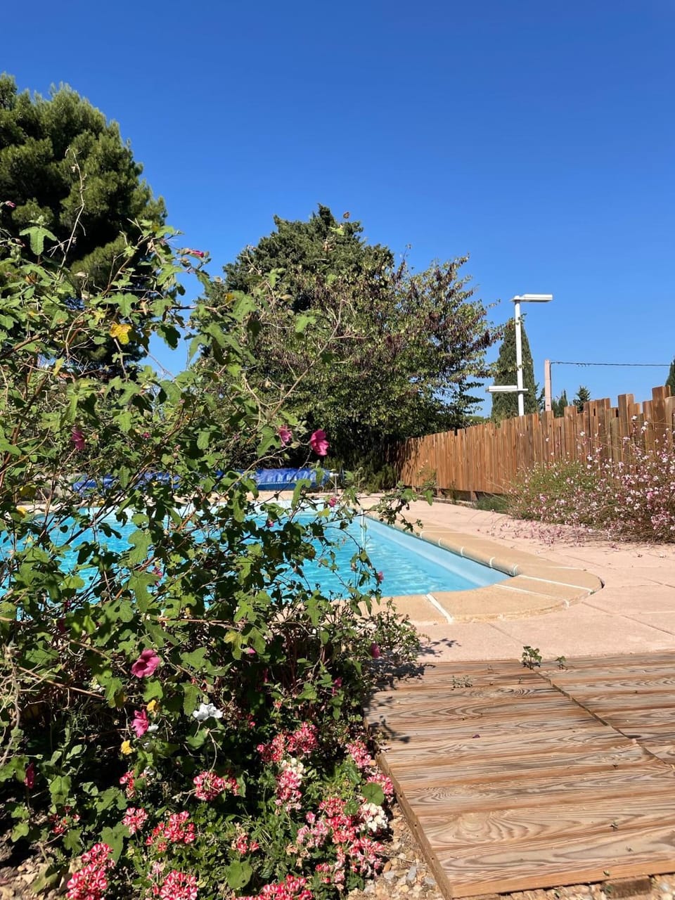 Pool view