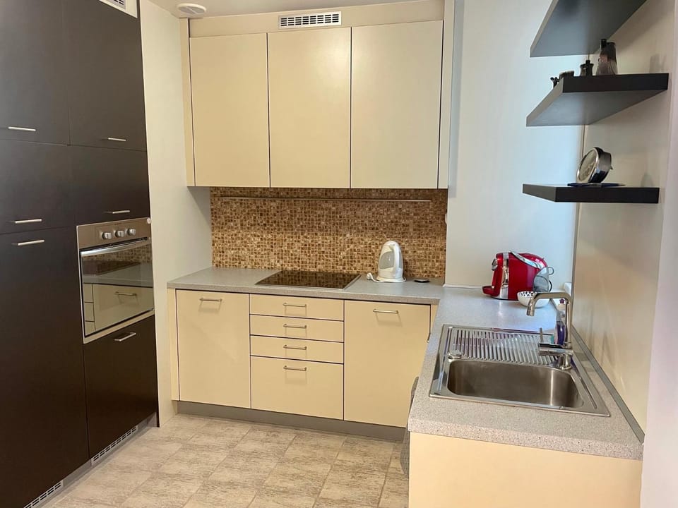 Huge two floor apartment on the Park Colonnade, 160 sqm Apartment in Saxony