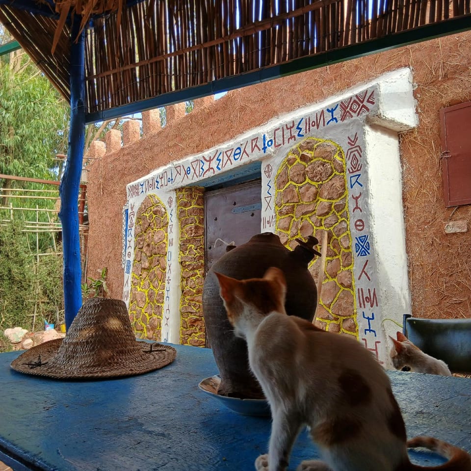 Traditional Berber Eco Farm Stay House in Souss-Massa