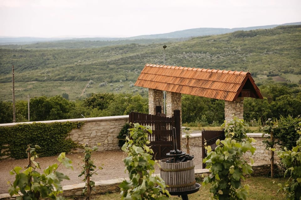Natural landscape, Garden view