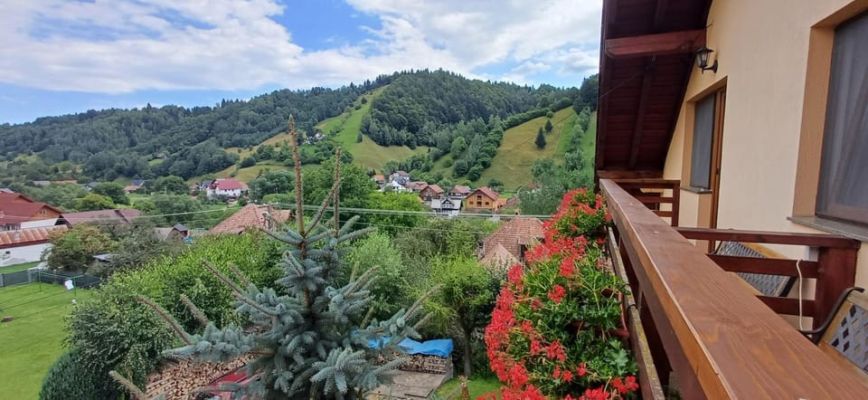 Pensiunea Andy Moieciu Bed and Breakfast in Brașov County