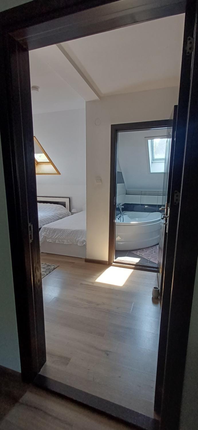 Pensiunea Andy Moieciu Bed and Breakfast in Brașov County