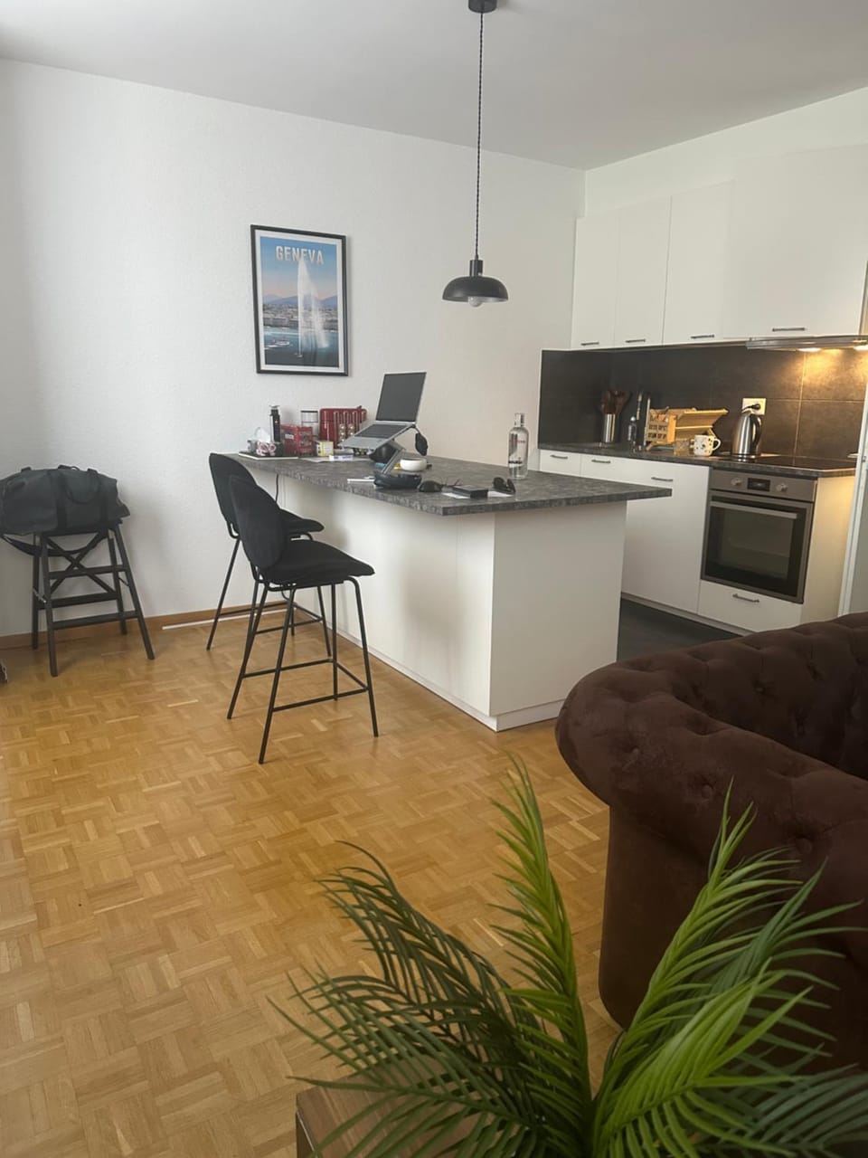 Magnificent apartment, Geneva Center, Geneva Lake Apartment in Geneva