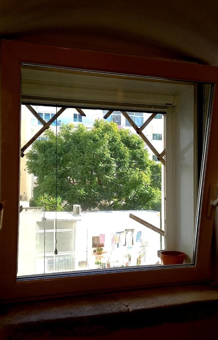 View (from property/room), Garden view