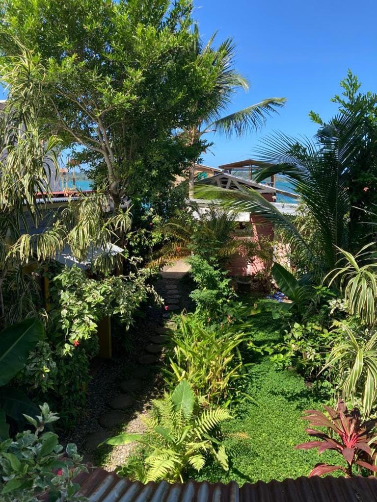 Day, Natural landscape, Garden, Garden view