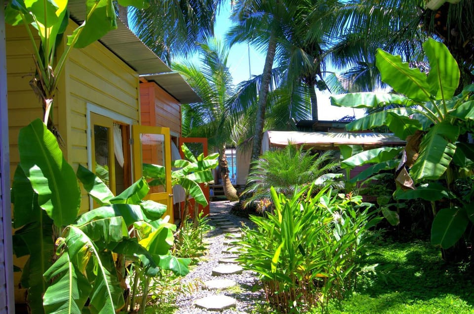 Property building, Garden, Garden view