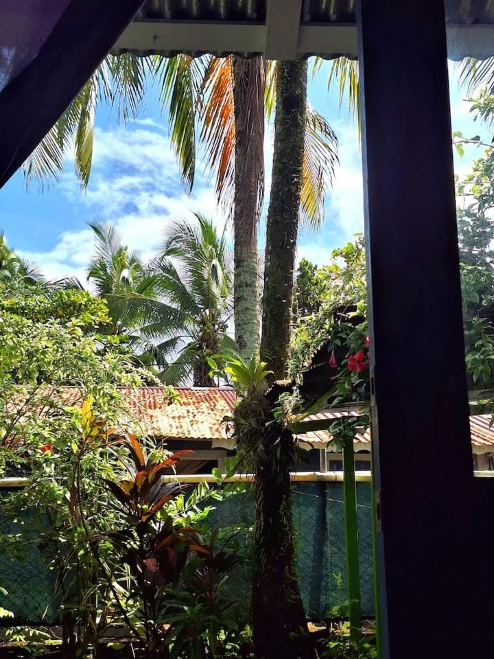 Garden, Garden view
