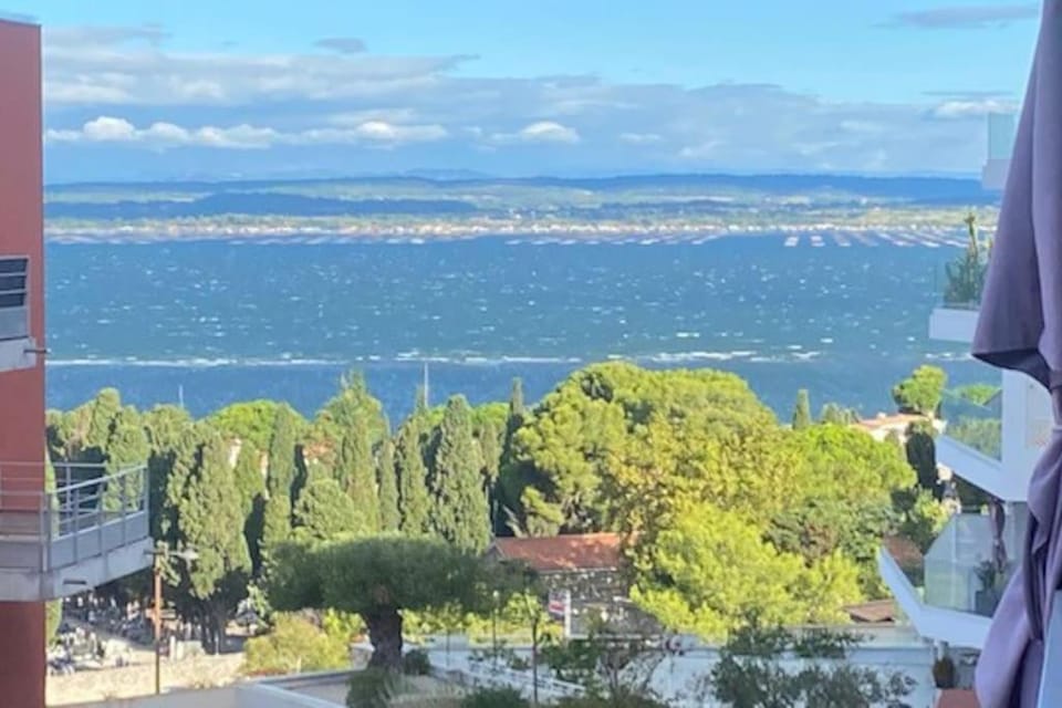 Lake view