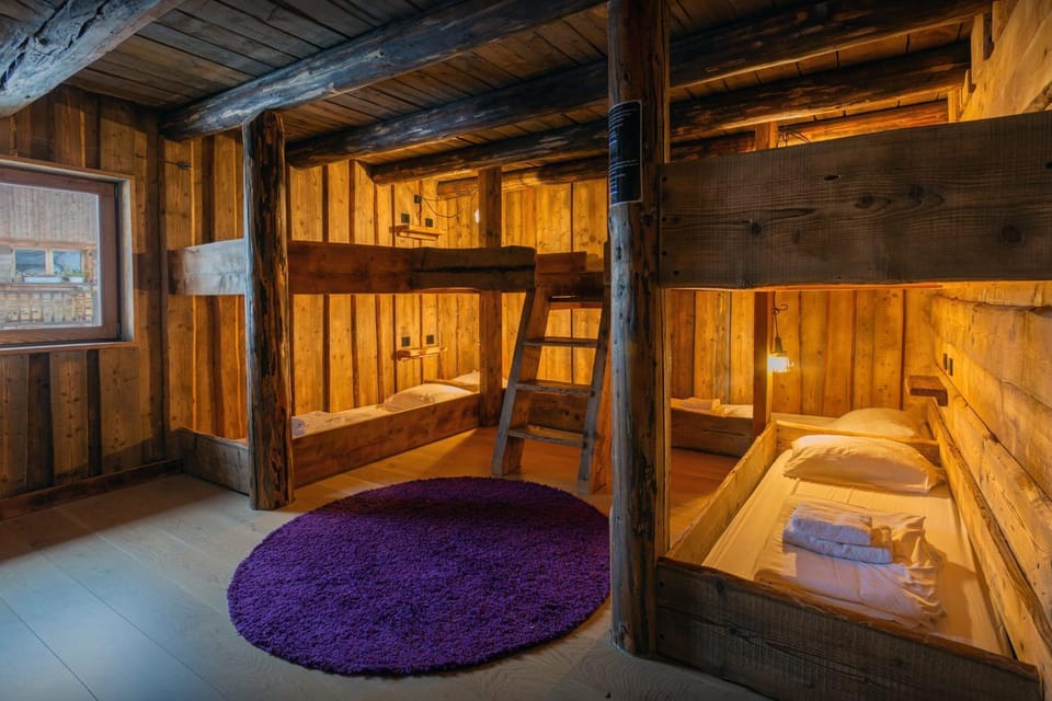 Bed, Photo of the whole room, Bedroom, bunk bed