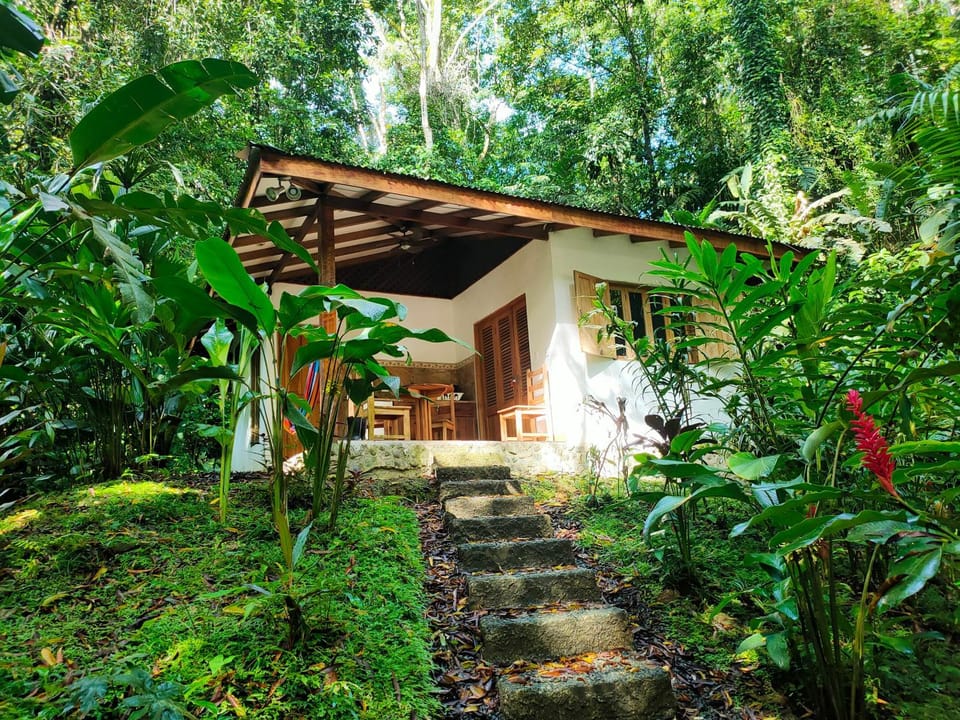 Property building, Natural landscape, Garden, Balcony/Terrace, Garden view