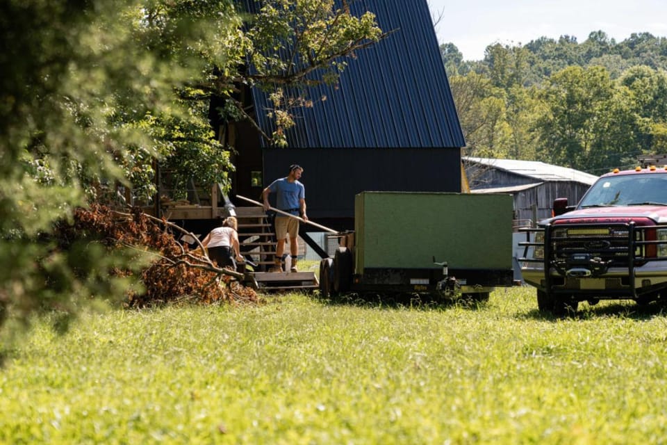 Walnut A Frame TreeHouse with Hammock on Farm and Large Community Barn Campground/ 
RV Resort in Tennessee
