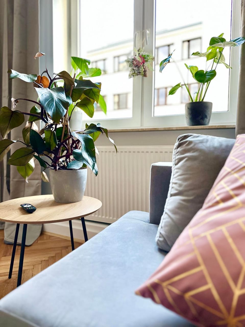 Bed, Living room, Photo of the whole room, Seating area, Bedroom