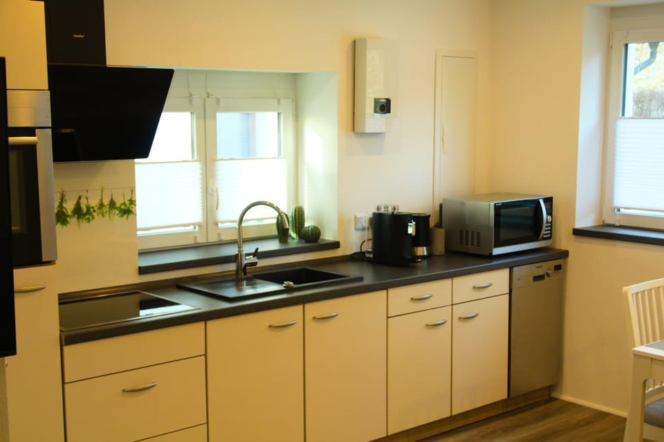 Coffee/tea facilities, Kitchen or kitchenette, minibar, stove, stove