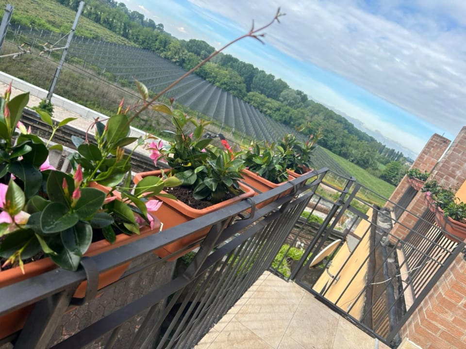 Day, Natural landscape, View (from property/room), Balcony/Terrace