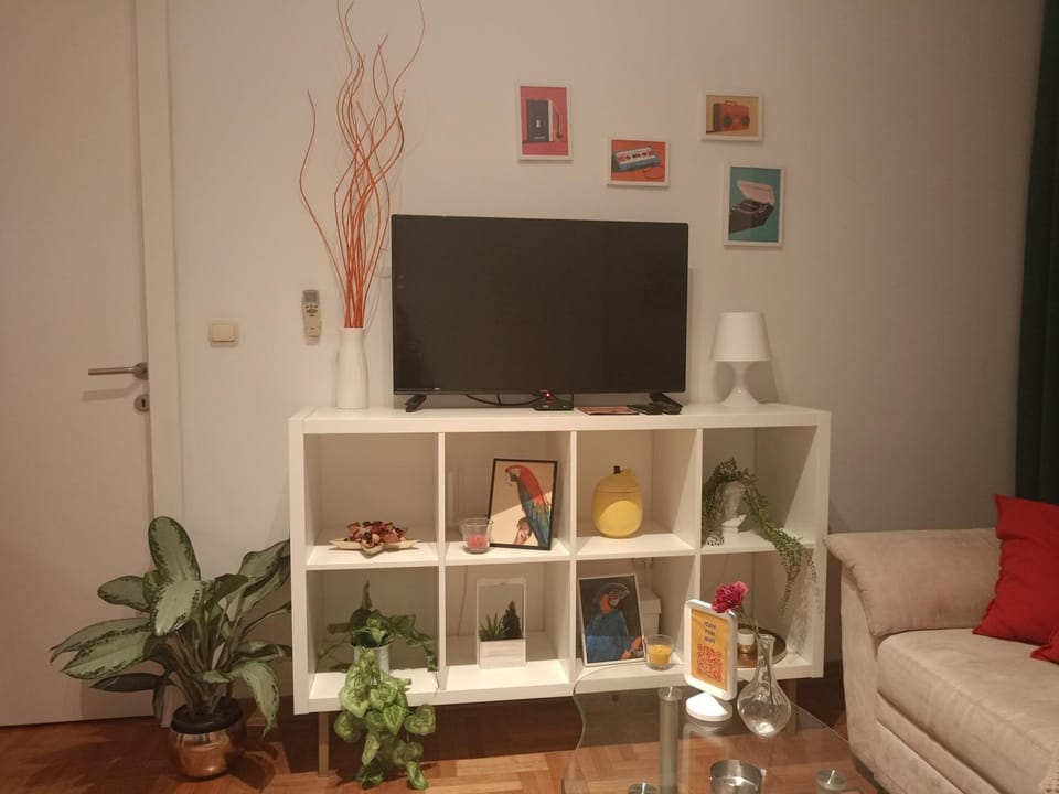 TV and multimedia