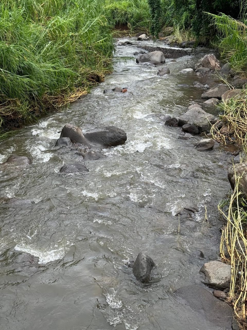 Day, Natural landscape, River view