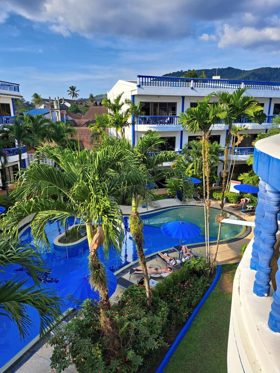 Day, Garden, Garden view, Pool view, Swimming pool