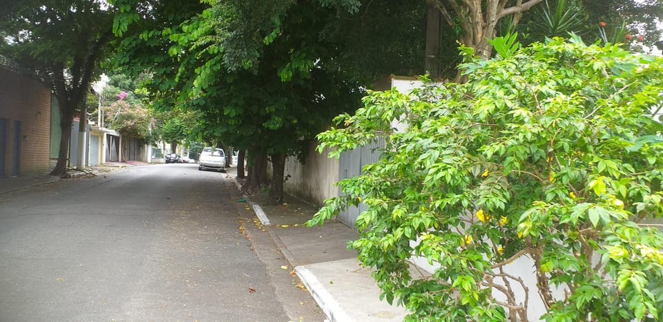Quiet street view