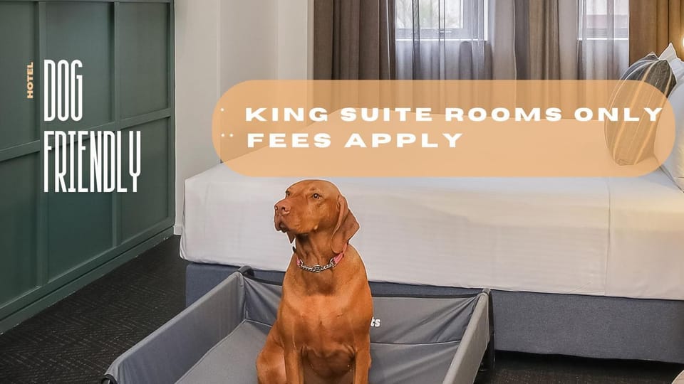 Property building, pet friendly