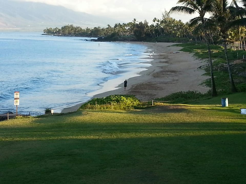 Natural landscape, Beach