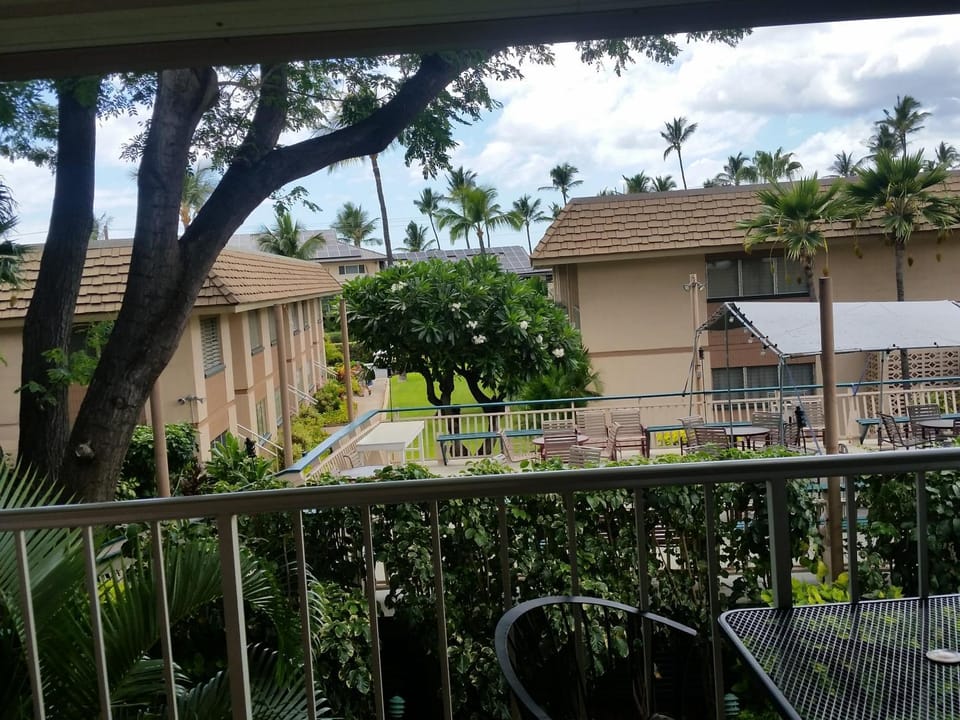 Shower, Property building, Patio, Bed, BBQ facilities, Garden, TV and multimedia, Kitchen or kitchenette, Living room, Seating area, Beach, Swimming pool, Swimming pool
