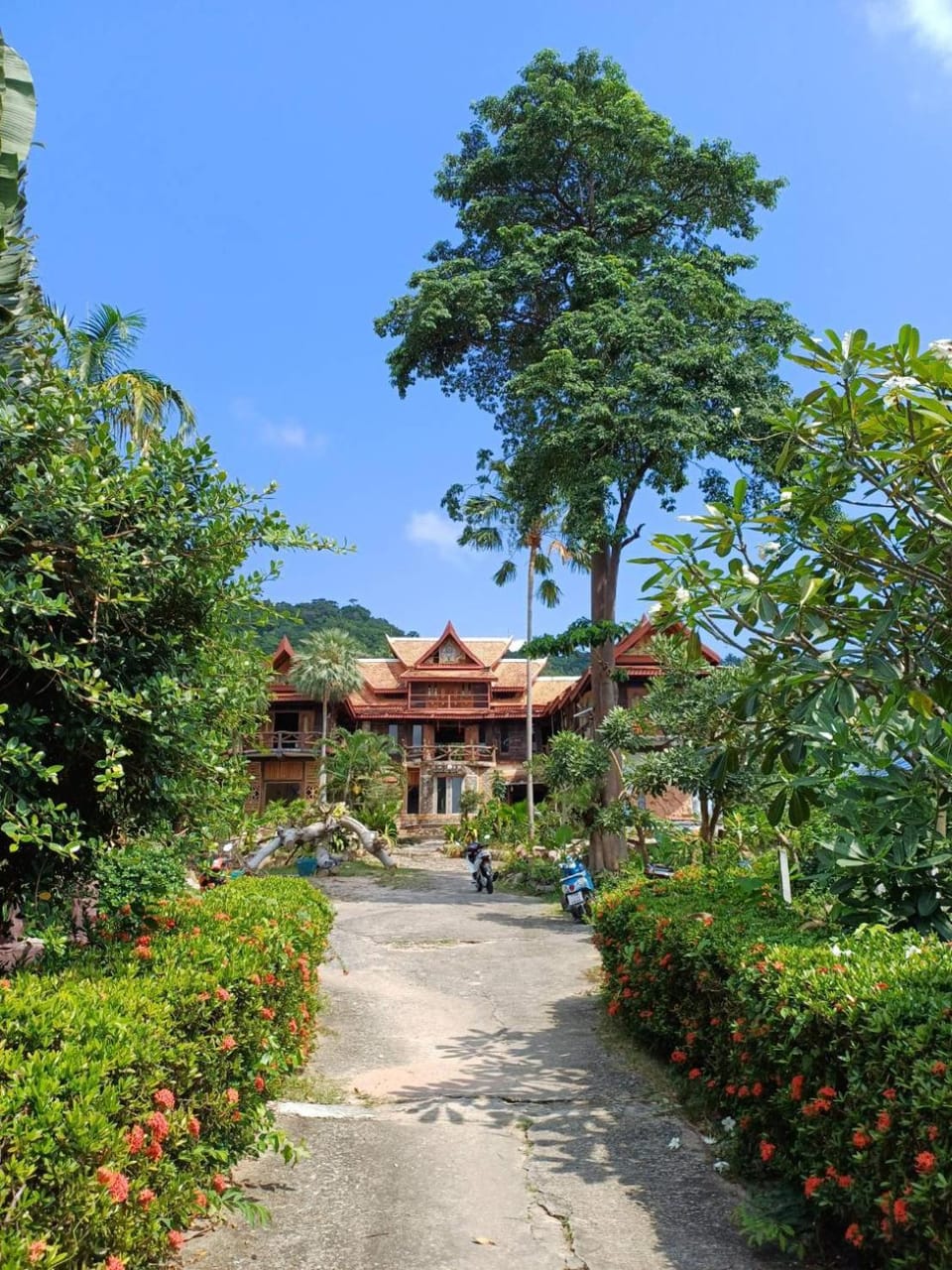 Property building, Day, Natural landscape, Garden, Garden view