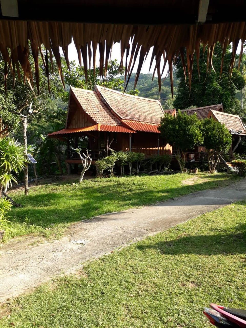 Orchid Home Bed and Breakfast in Ko Tao