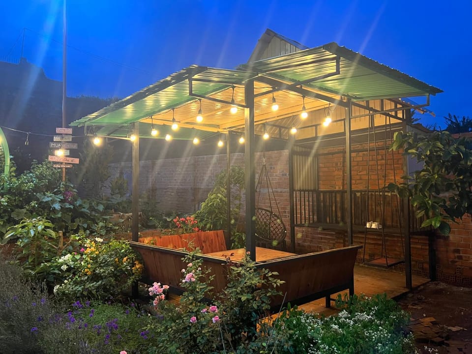 Patio, Night, Garden, Garden view