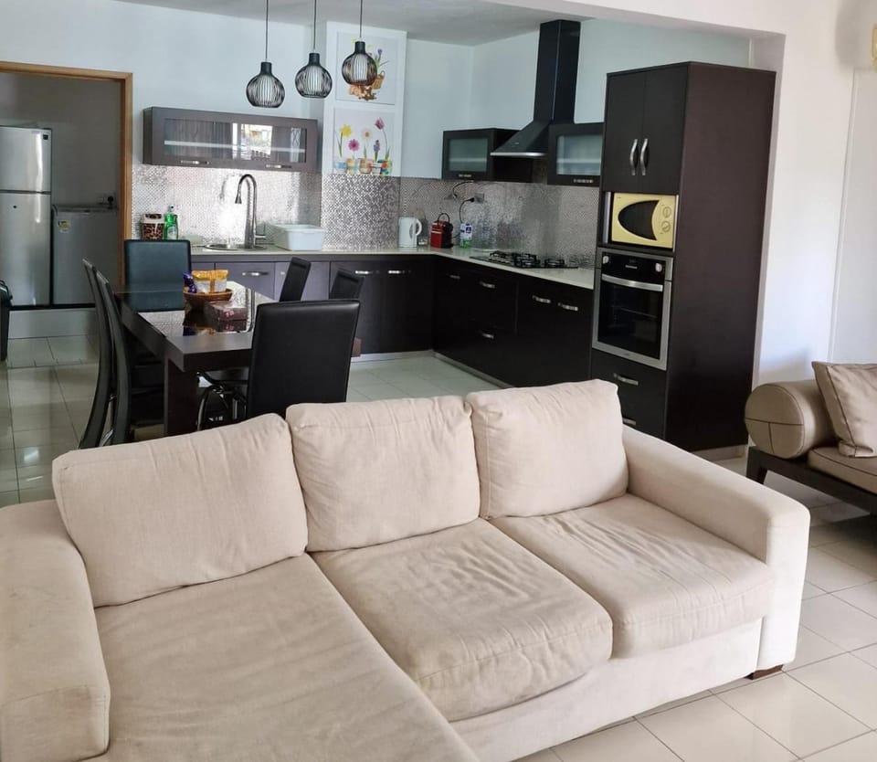 Kitchen or kitchenette, Living room, Seating area, Dining area, kitchen, kitchen