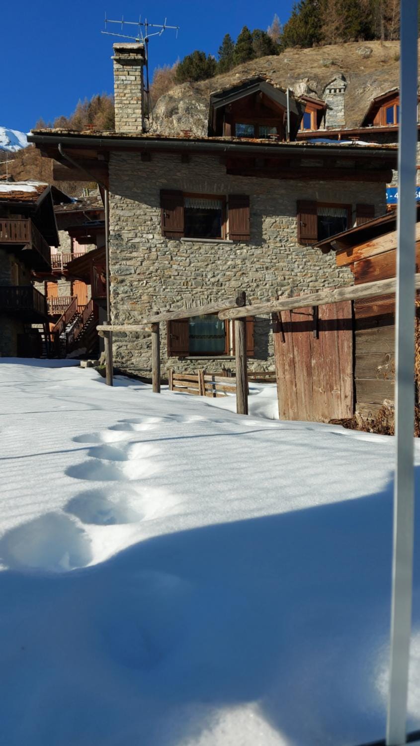 Maison Sarteur Alloggio ad uso turistico -VDA-LA THUILE- 0065 Apartment in La Thuile