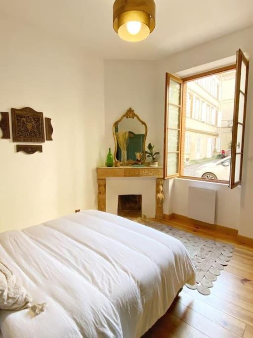 Cocon cosy dans la ville rose Apartment in Toulouse
