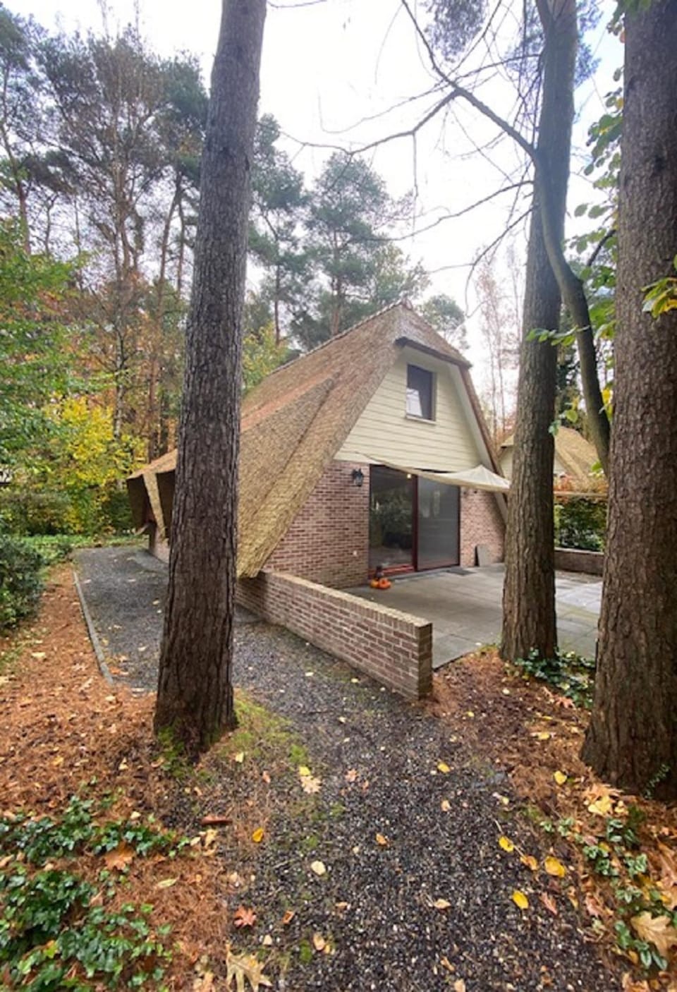 Property building, Day, Garden, Garden view