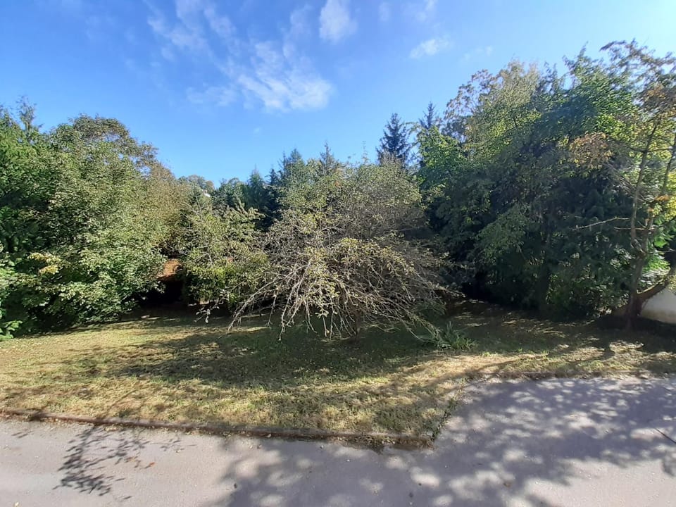 Property building, Garden view