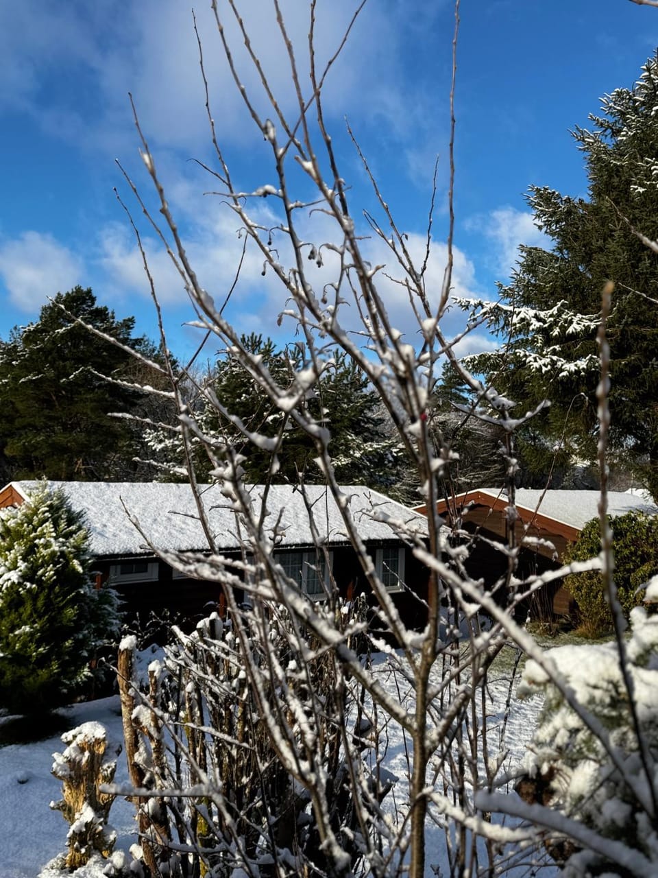 Snug and cosy log cabin. Cabin in Trawsfynydd