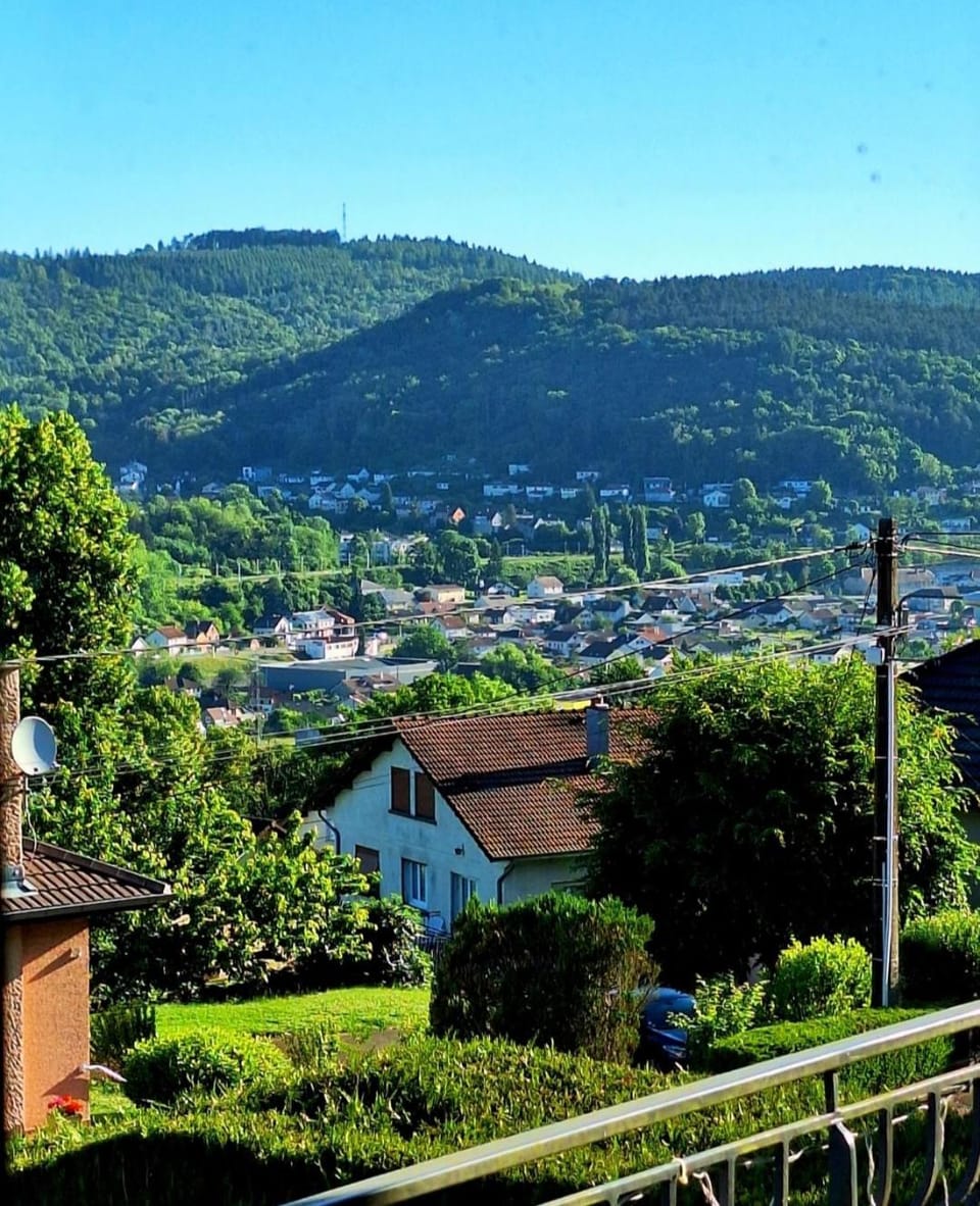 City view