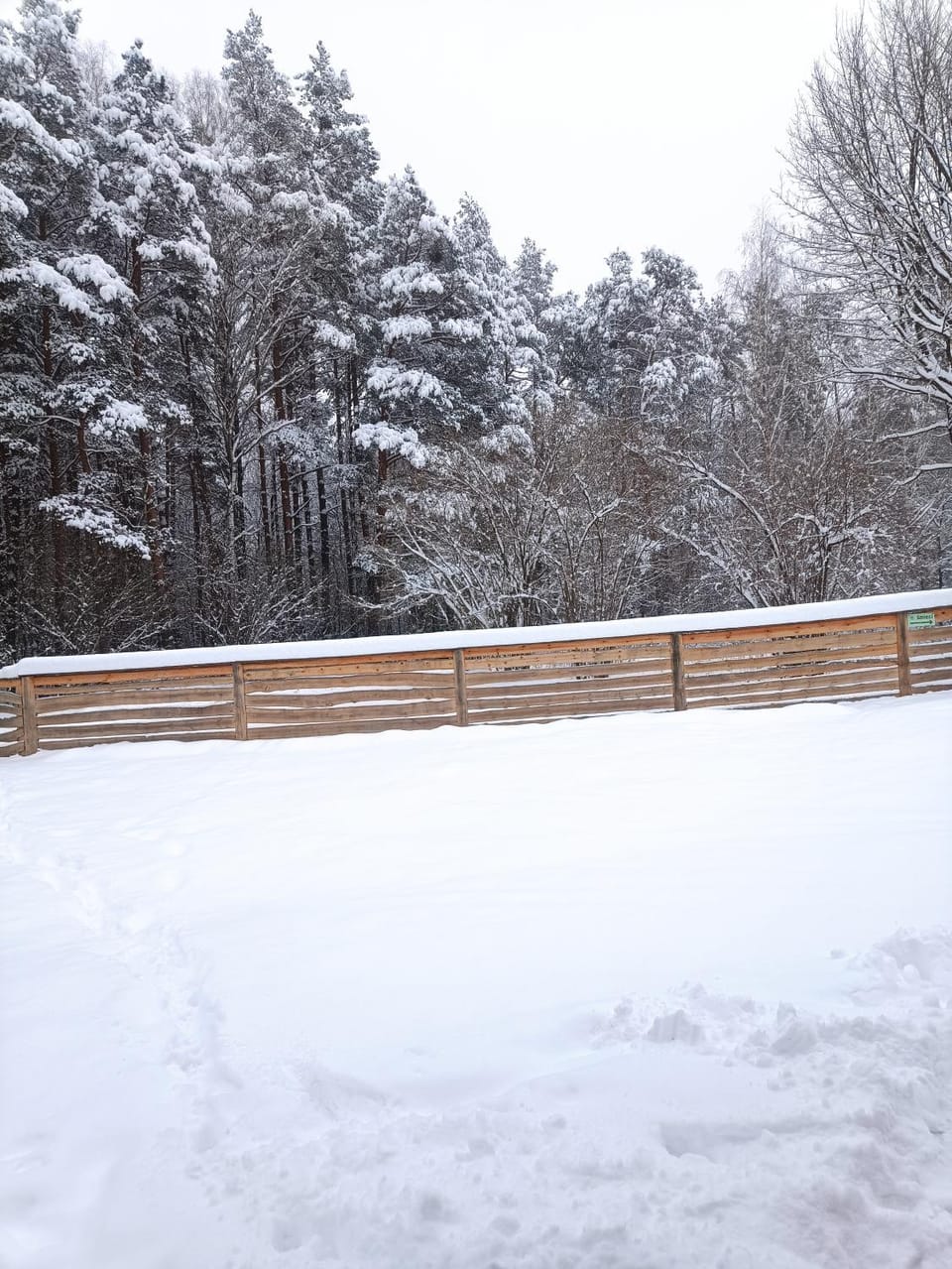 Day, Natural landscape, Winter
