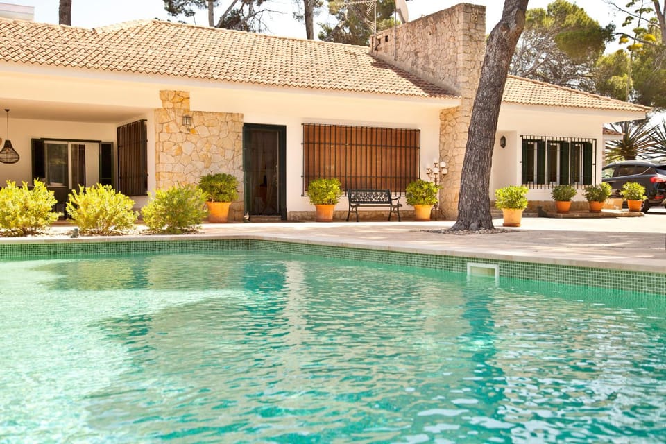 Property building, Patio, Day, Garden, Garden view, Pool view, Swimming pool