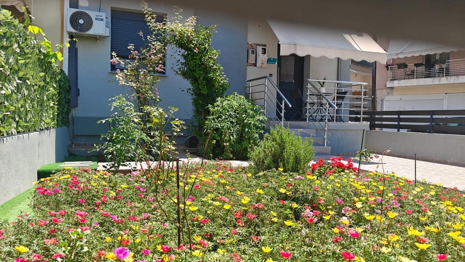 Property building, Garden, Garden view