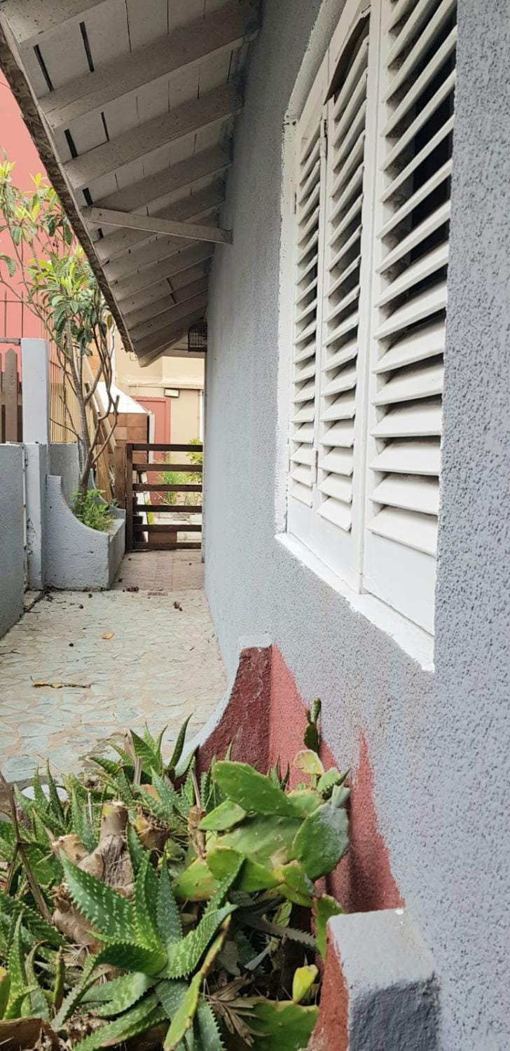 Garden, Garden, Garden view