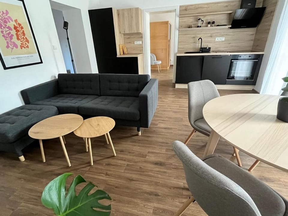 Sáňky Apartmány Apartment in Saxony