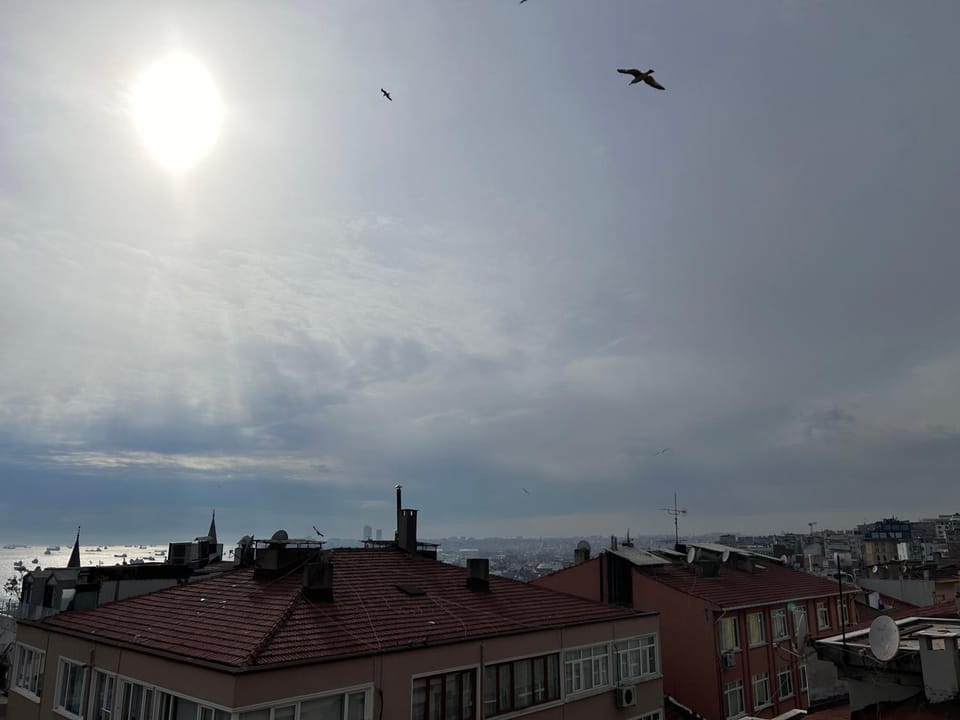 Sea view