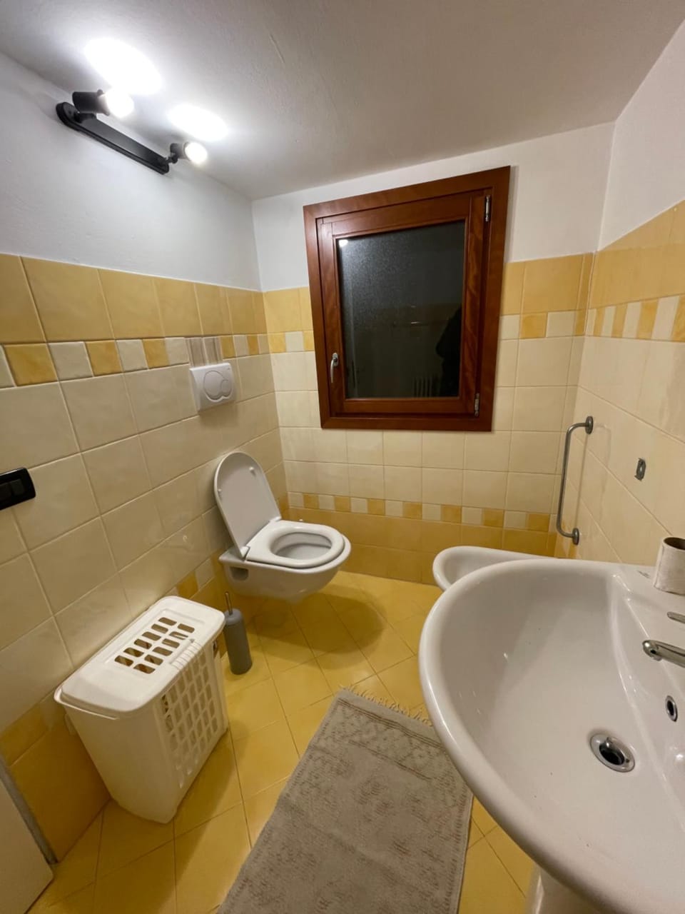 Toilet, Bathroom, bidet