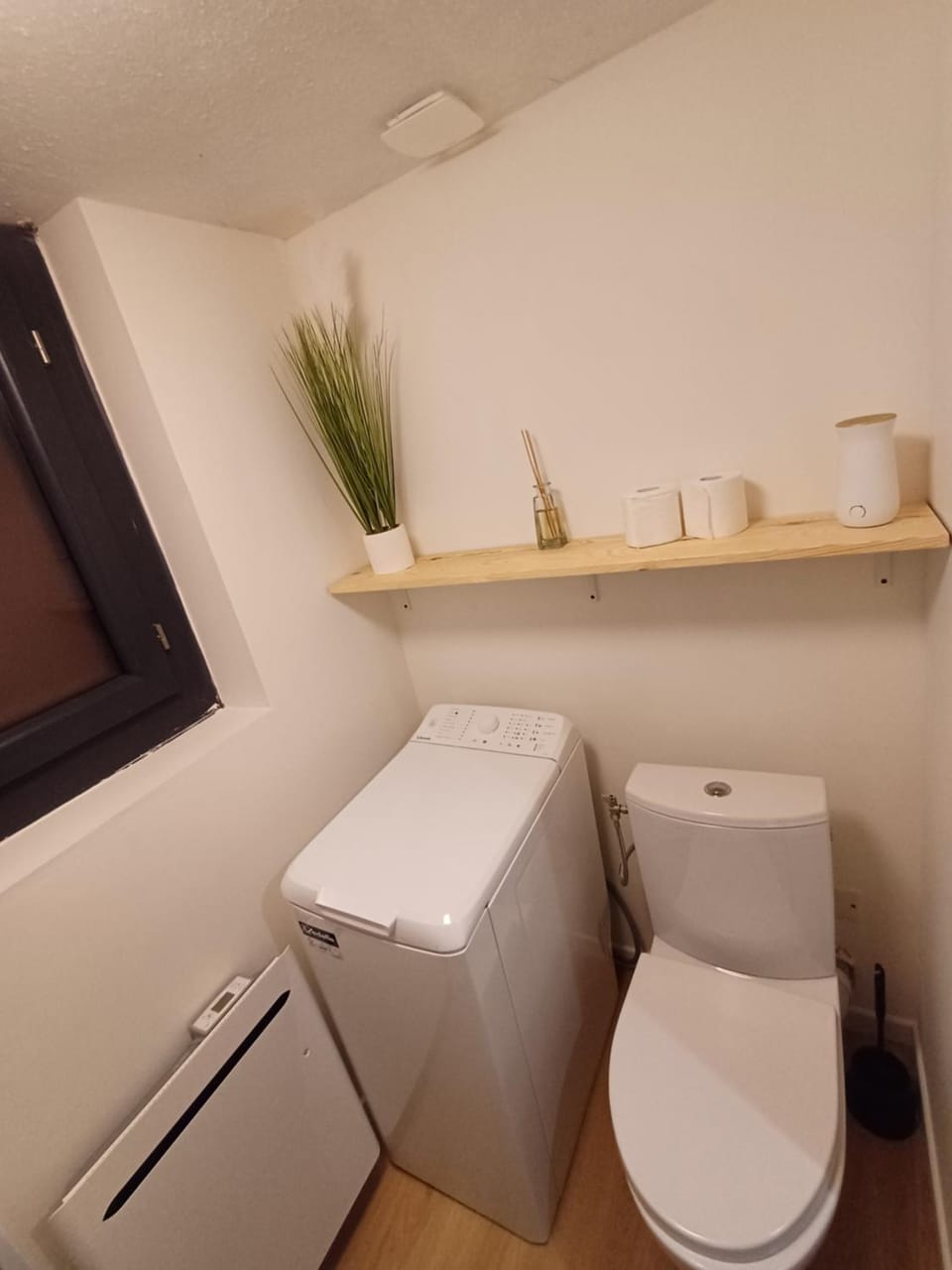 Toilet, washing machine